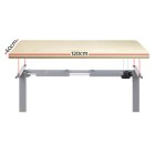 Electric Standing Desk Oak 120cm Motorised Adjustable Sit Stand Desks Grey Electric Standing Desk Oak 120cm Motorised Adjustable Sit Stand Desks Grey