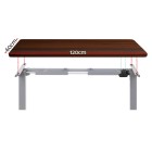 Electric Standing Desk Walnut 120cm Motorised Adjustable Sit Stand Desks Grey Electric Standing Desk Walnut 120cm Motorised Adjustable Sit Stand Desks Grey