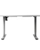 Electric Standing Desk White 120cm Motorised Adjustable Sit Stand Desks Grey