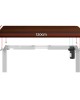 Electric Standing Desk Walnut 120cm Motorised Adjustable Sit Stand Desks White