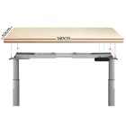Electric Standing Desk 140cm Height Adjustable Sit Stand Desks Grey Oak 140cm Electric Standing Desk 140cm Height Adjustable Sit Stand Desks Grey Oak 140cm